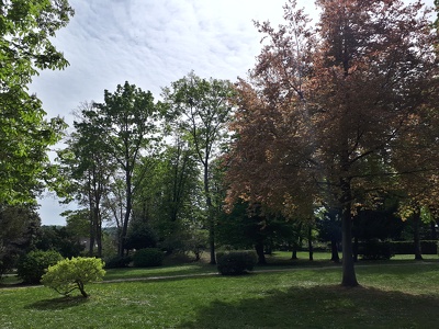Parc Jean Witold, Marly-le-Roi