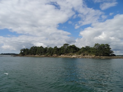 Île de Fandouillec sur la Ria d'Étel