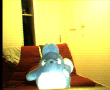 Totoro
