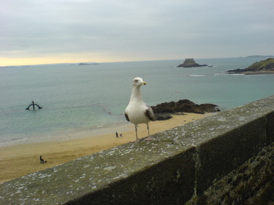 Saint-Malo