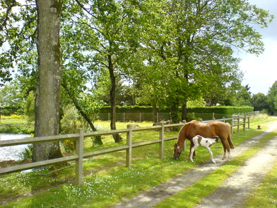 Balika et son petit, Toscan