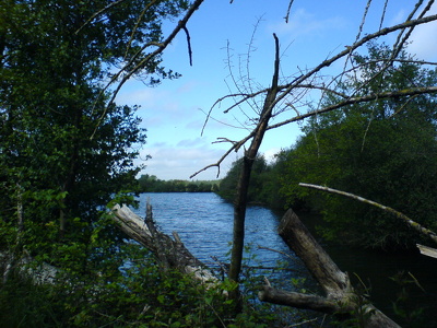 Balade aux étangs du Rheu