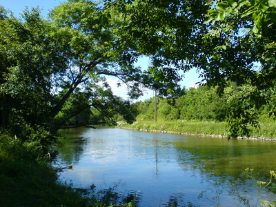 Balade aux étangs du Rheu