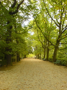 Le Thabor à Rennes