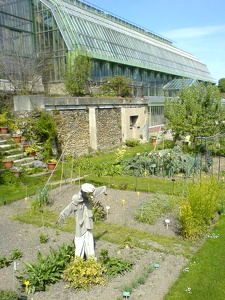 Jardin des Plantes