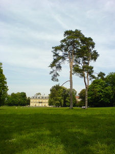 Parc du bois Préau