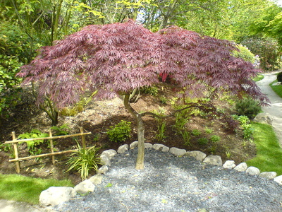 Parc de l'Amitié