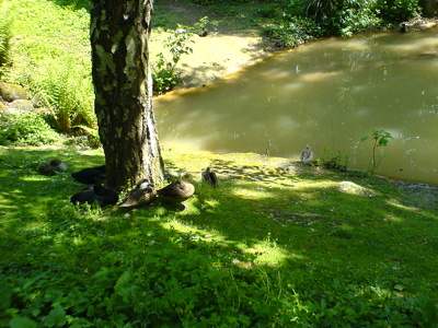 Le parc du Thabor