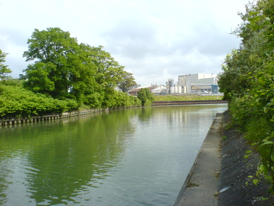 Bords de Seine