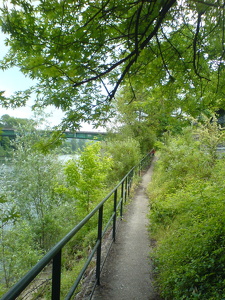 Bords de Seine