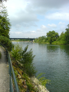 Bords de Seine