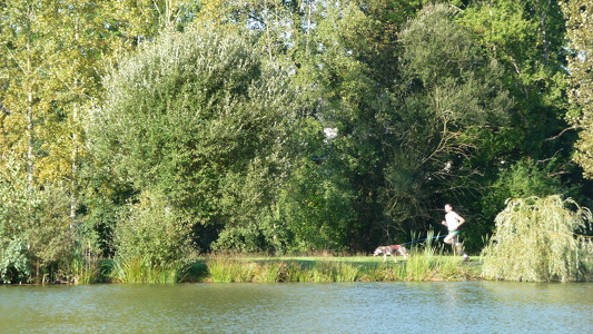 Canicross à Bourgbarré