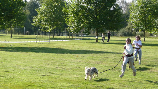 Canicross à Bourgbarré