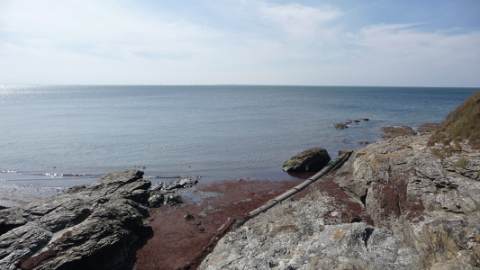 Balade à Saint-Gildas-de-Rhuys