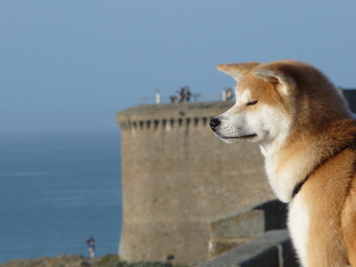 Saint-Malo