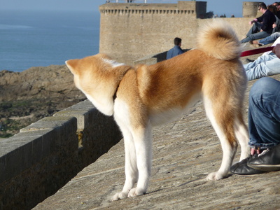 Saint-Malo
