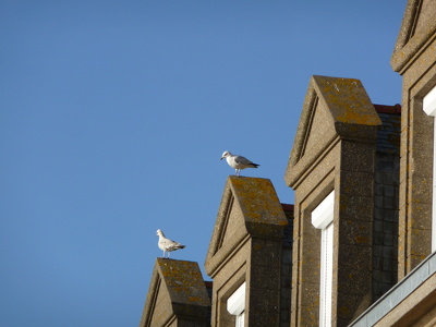 Saint-Malo