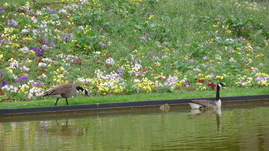 Parc floral de Vincennes