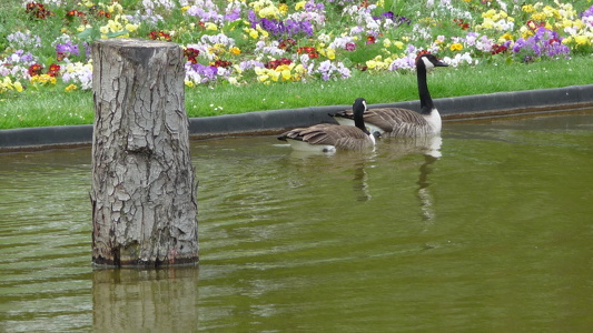 Parc floral de Vincennes