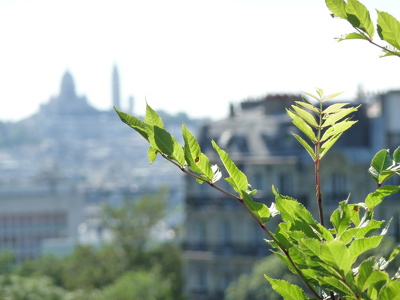 Parc des Buttes-Chaumont