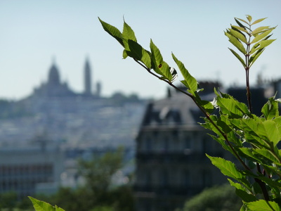 Parc des Buttes-Chaumont