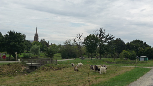 La Chapelle-des-Fougeretz