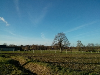 2013-12-29.Tresboeuf