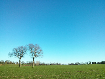 Saulnières