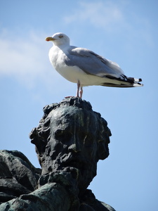 Saint-Malo