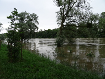 Crue de la Seine