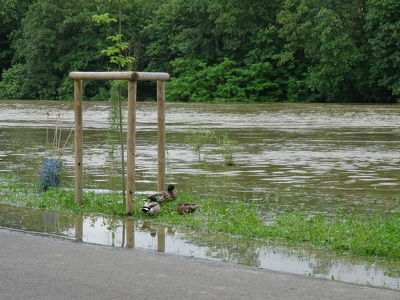 Crue de la Seine