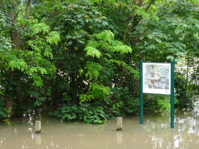 Crue de la Seine