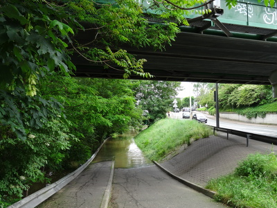 Crue de la Seine