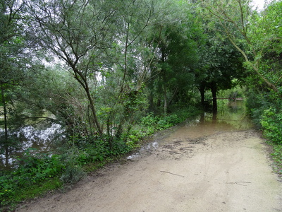 Crue de la Seine