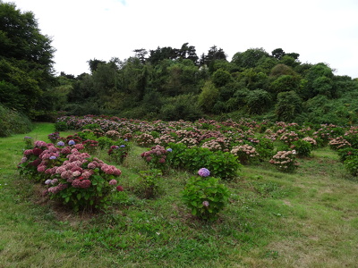 Paimpol