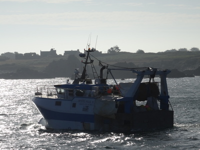 Île de Bréhat