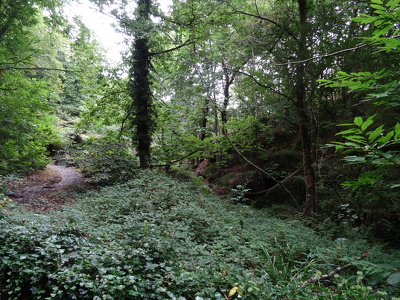 Vallée des Traouïero