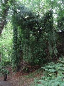 Vallée des Traouïero