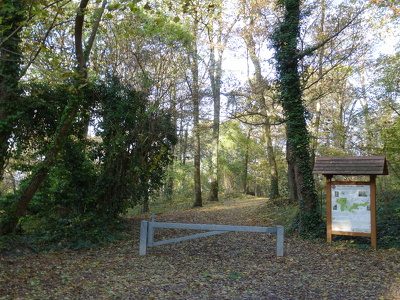 Parc forestier de la Jonchère