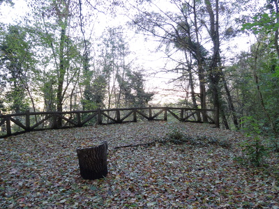 Parc forestier de la Jonchère