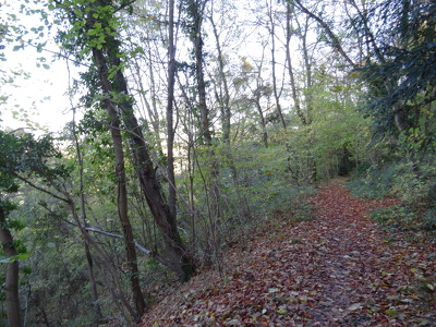 Parc forestier de la Jonchère