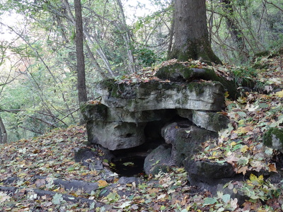 Parc forestier de la Jonchère