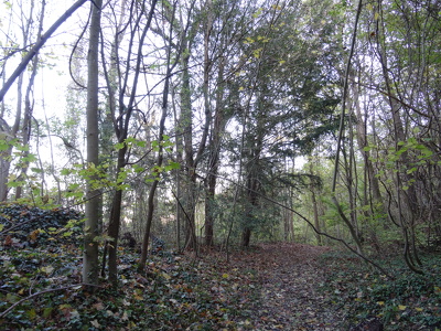 Parc forestier de la Jonchère