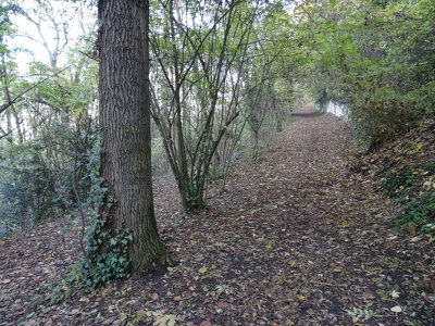 Parc forestier de la Jonchère