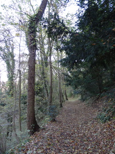 Parc forestier de la Jonchère