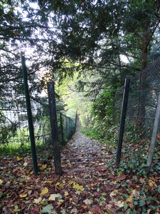 Parc forestier de la Jonchère