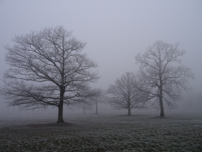 2016-12-30.Saulnieres