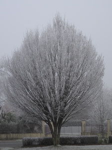 2016-12-31.Saulnieres