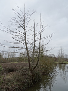 Plan d'eau de La Vallée de la Seiche