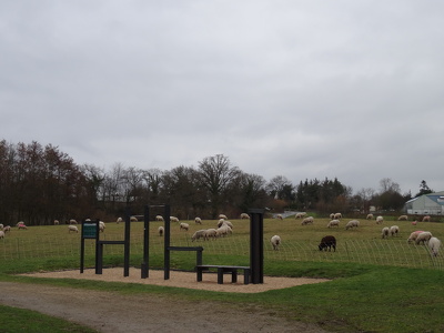 Moutons et jeux